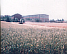 Rudnick