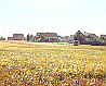 Karweg